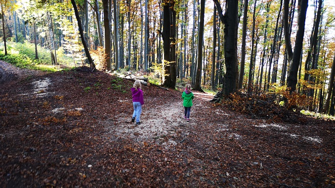 Čemšeniška Planina